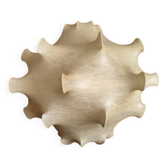 Dandelion suspension