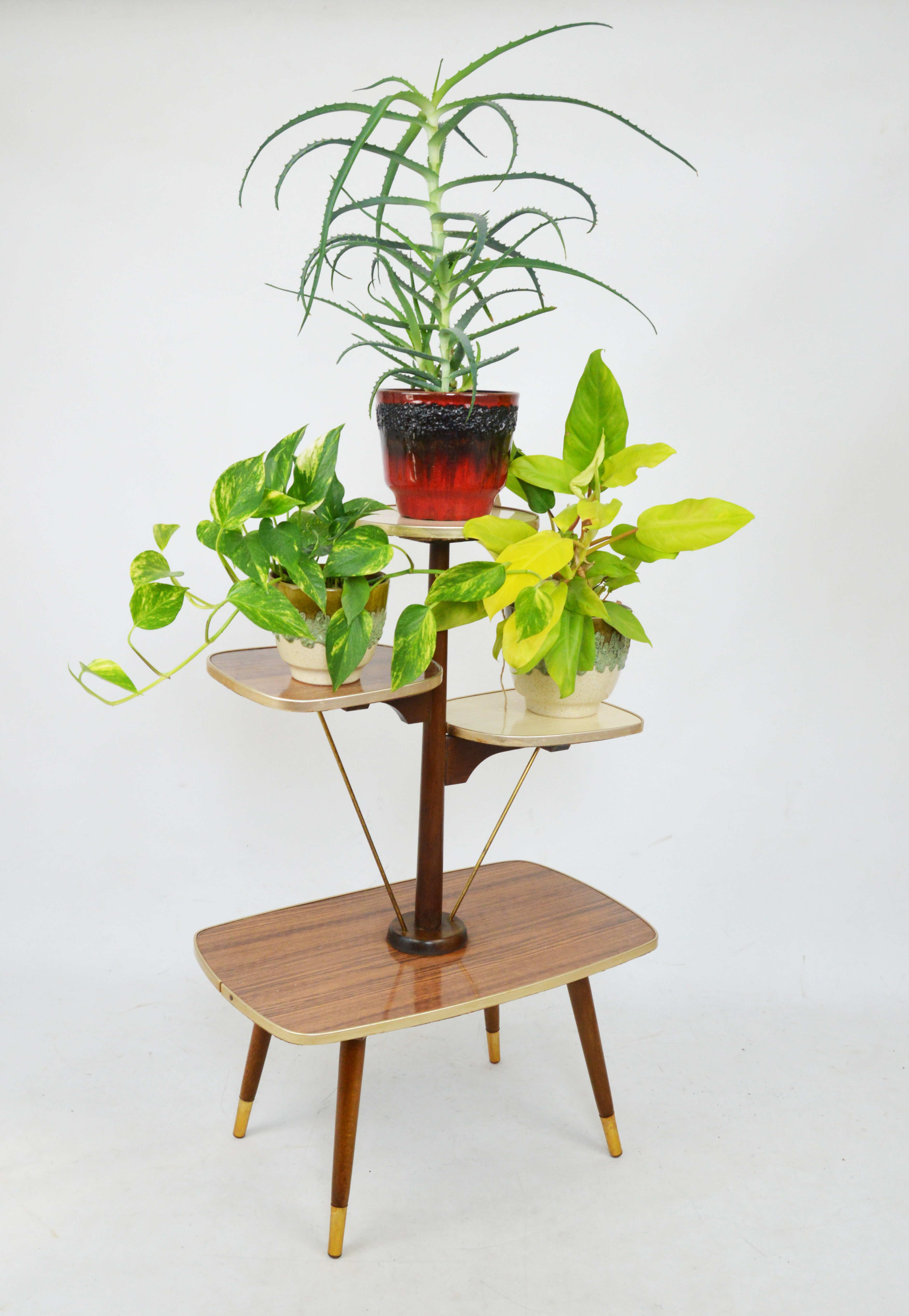 Rockabilly flowerbed, 1960s