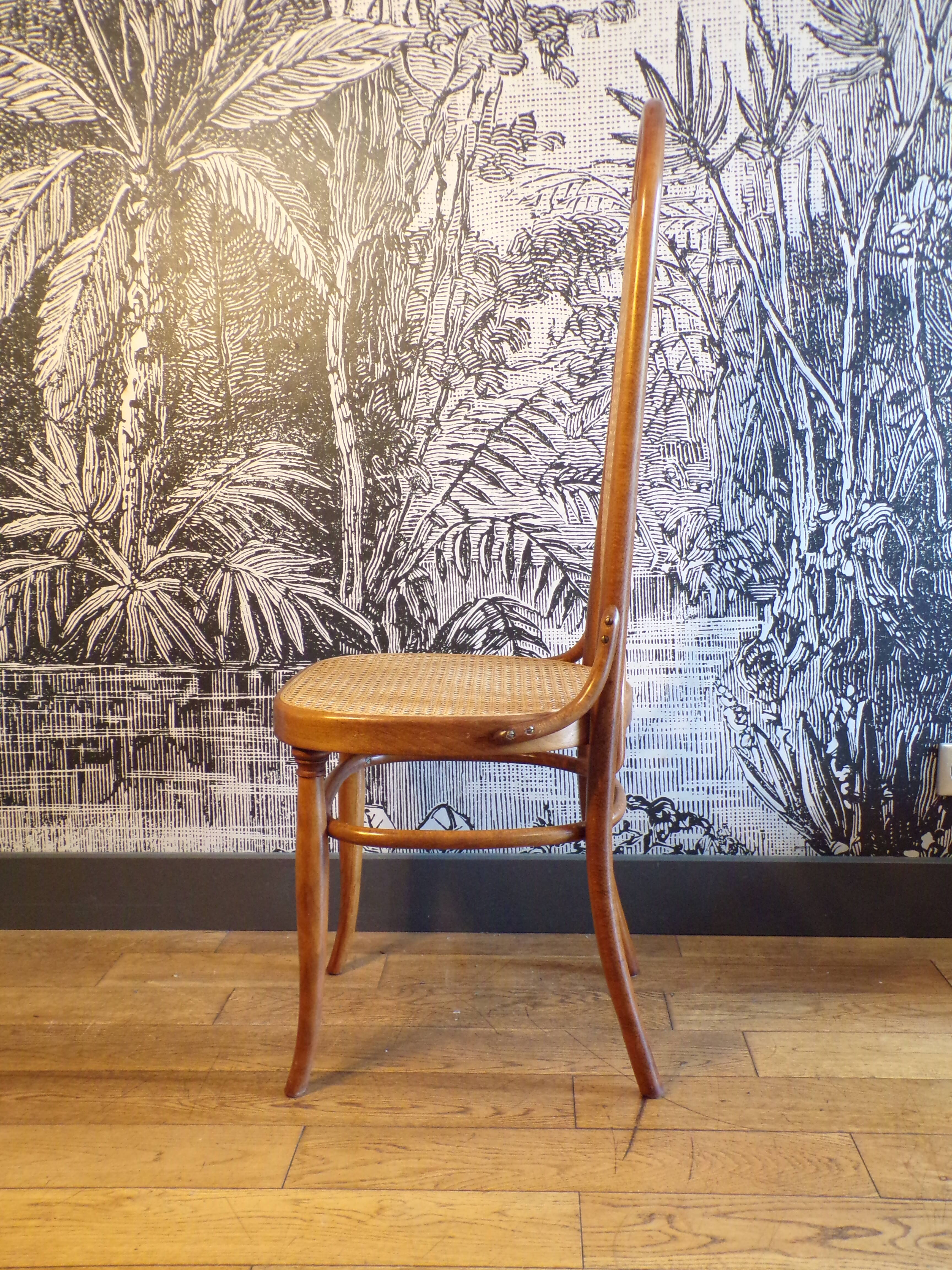 Chaise de salon Thonet 207R
