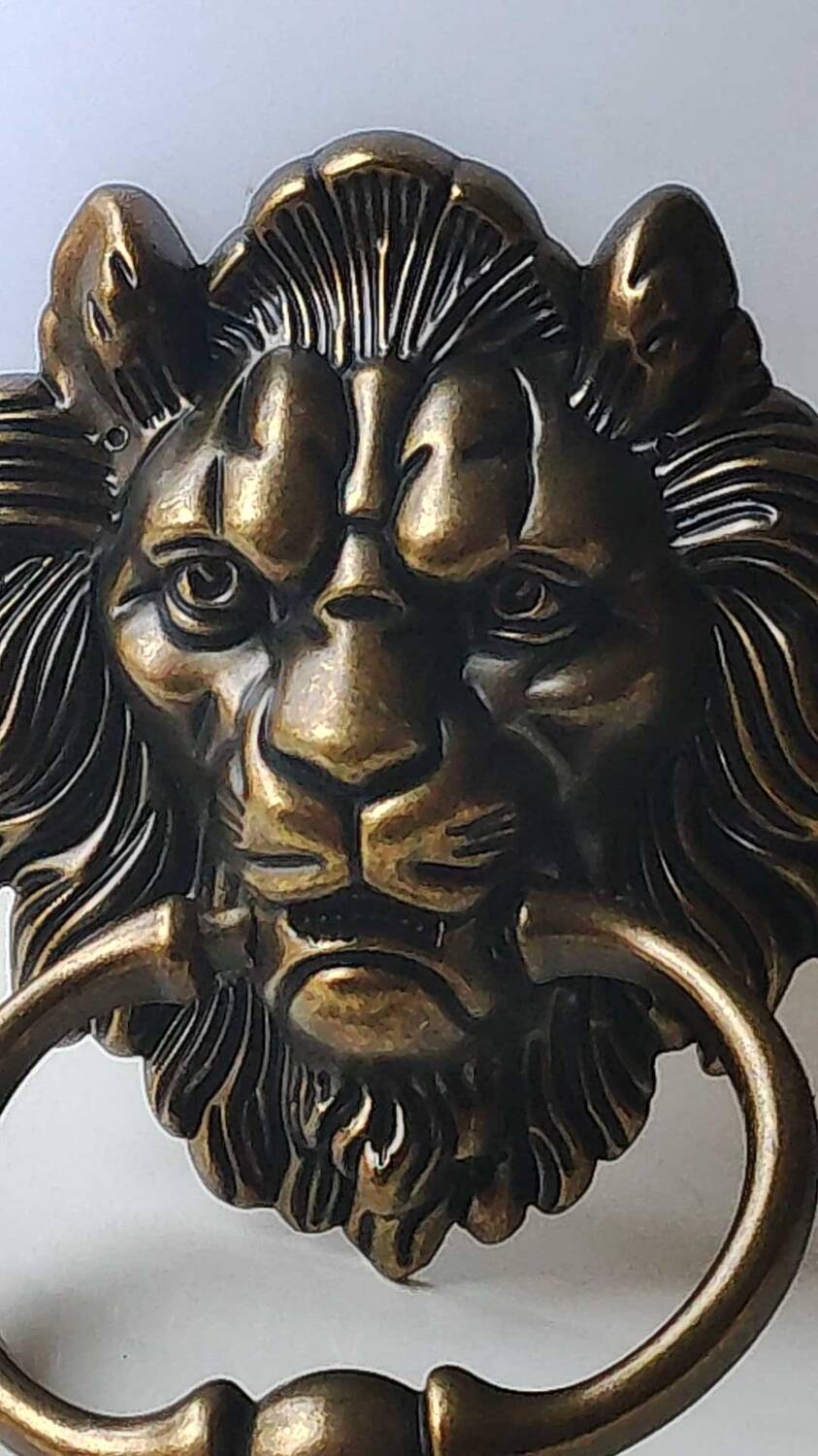Antique Lion Head Door Knocker/Knocker, with Antique Bronze Patina 16 x 12 cm