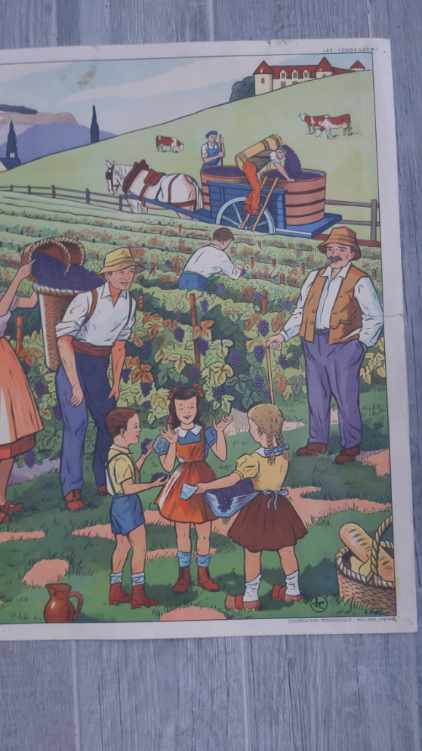 Rossignol school poster