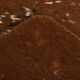3x10 neutal brown felt vintage runner rug,85x307cm