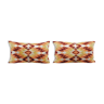Ikat Lumbar Pillow Cover - Set of Two Colorful Silk Ikat Velvet Pillowcase - Handwoven Cushion Cover