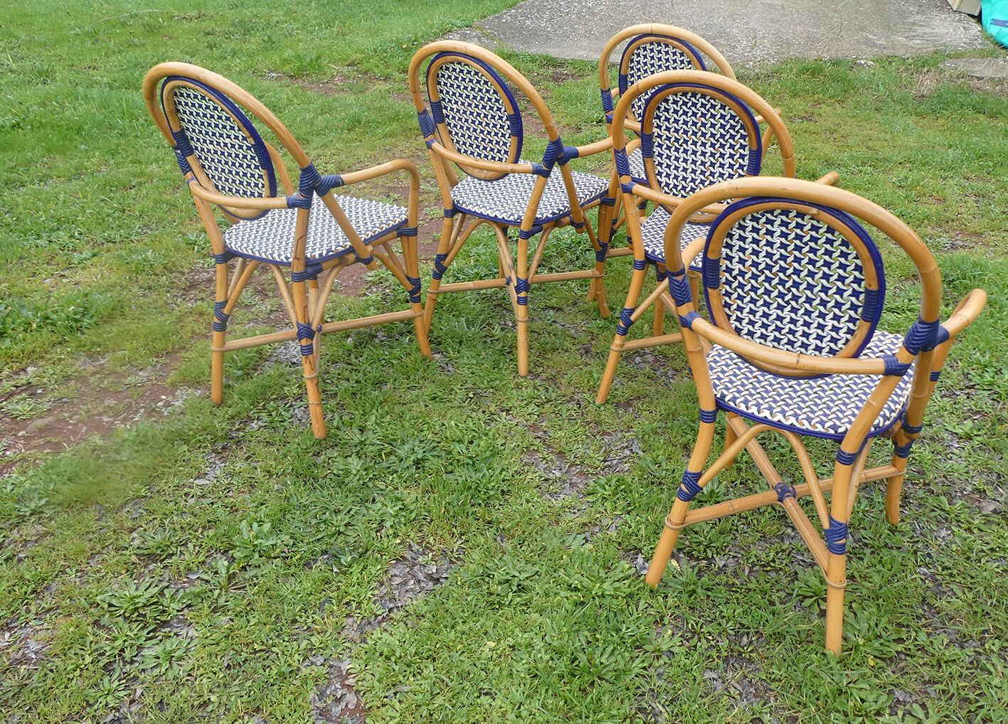 Lot de 5 fauteuils bistrot de terrasse type "parisienne" blanc et bleu