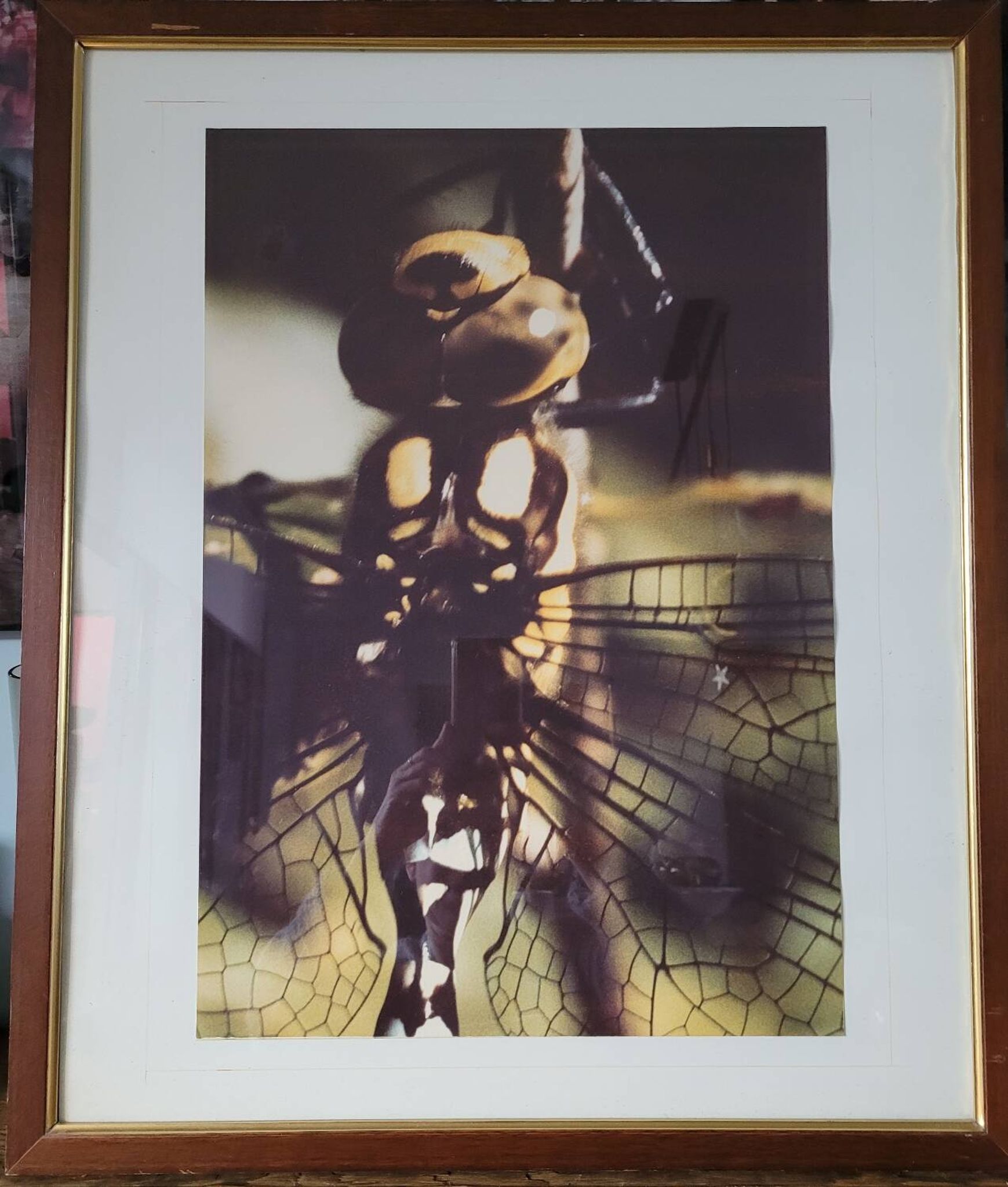 Dragonfly vintage photo painting