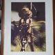 Dragonfly vintage photo painting