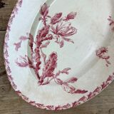 Dish oval porcelain of Gien model Cactus