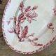 Dish oval porcelain of Gien model Cactus