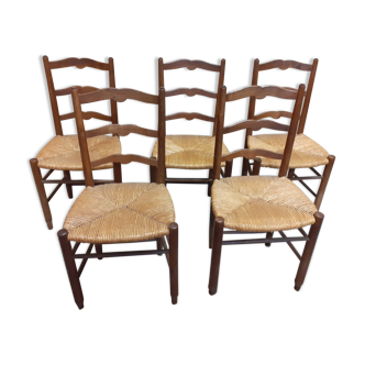 Lot of mulched chairs