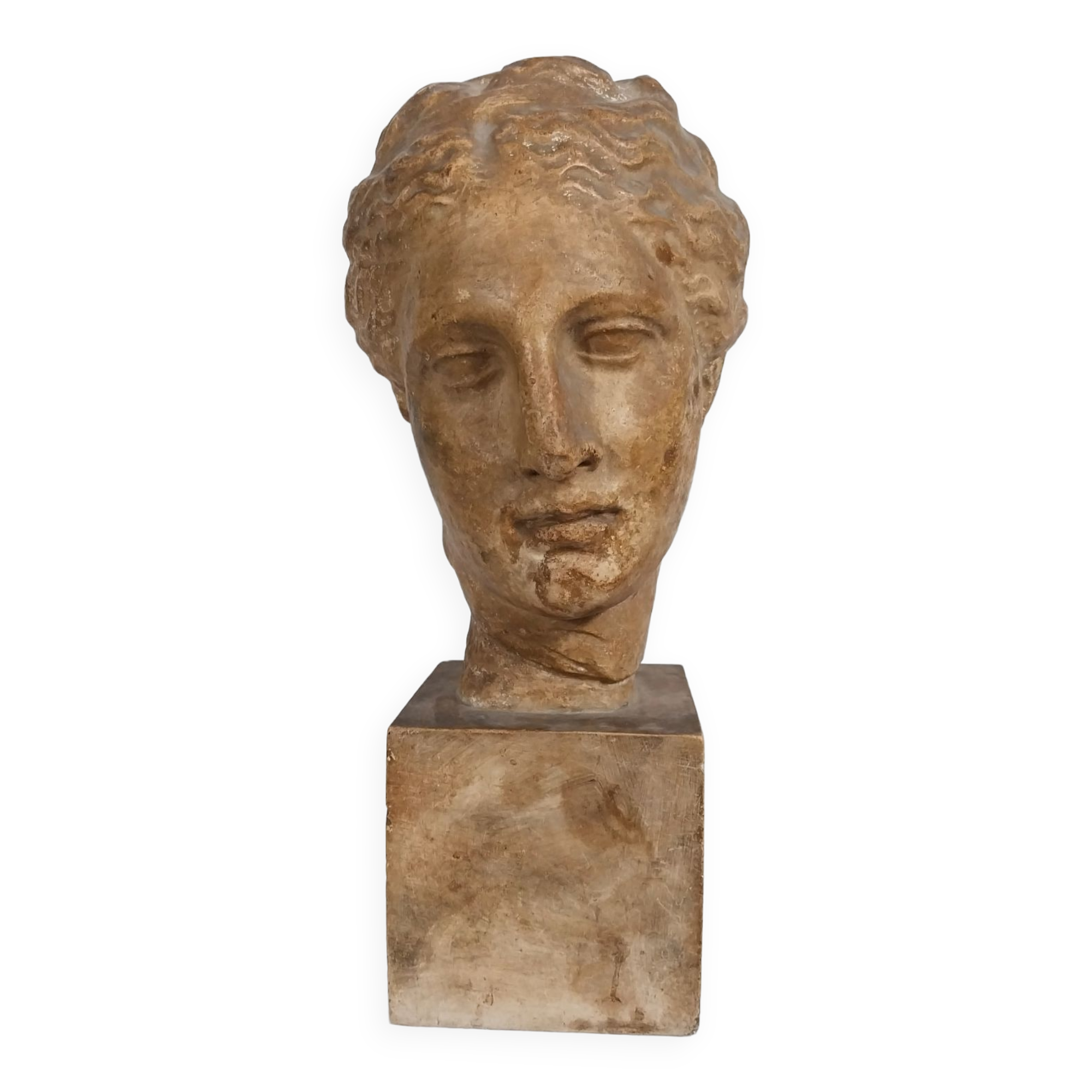Plaster bust