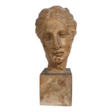 Plaster bust