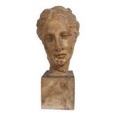 Plaster bust