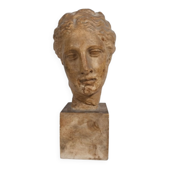 Buste en plâtre