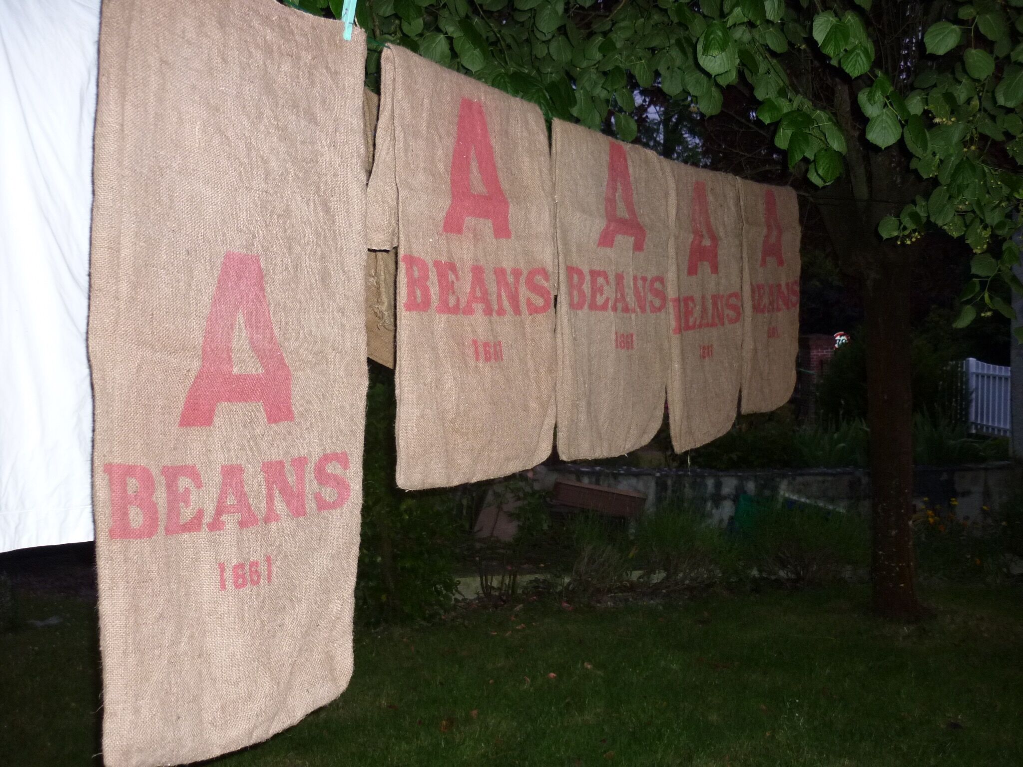 Transport of beans in Burlap bag