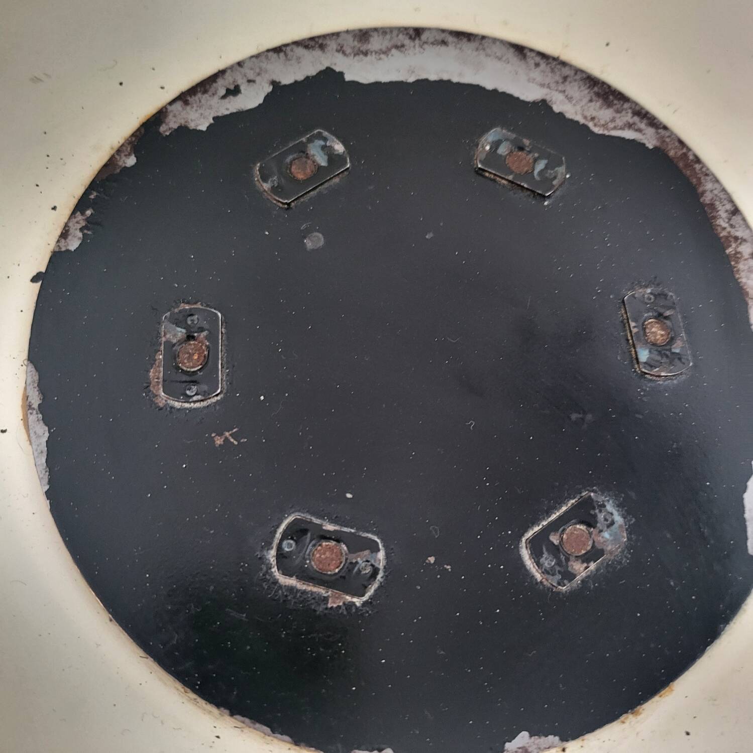 Tulip knoll armchair