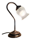 Swan neck lamp and frosted glass tulip