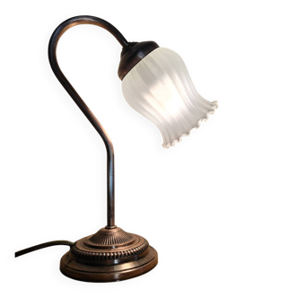 Swan neck lamp and frosted glass tulip