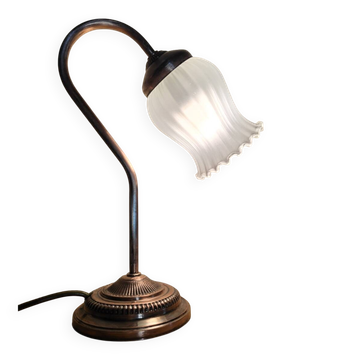 Lampe col de cygne et tulipe en verre dépoli