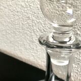 Wine carafe grape variety with cork