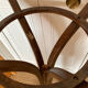 Baumann parrot coat rack