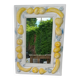 plaster mirror fruit frame