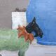 Alain ozanne, contemporary artist. still life. acrylic.