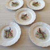 Old plates Moulin des loups