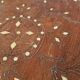 Antique Oriental Gueridon Tea Table