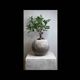 Kikai - artisanal pot in mineral cement
