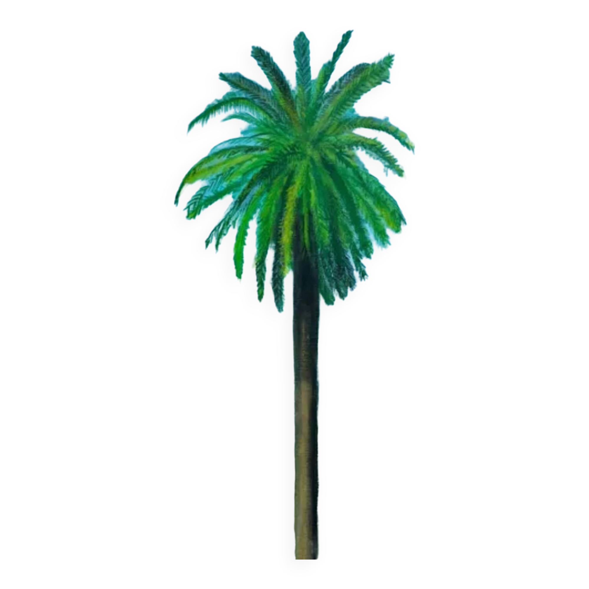 Palm Tree Table