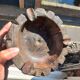 Cendrier rustique ancien en bois sculpté