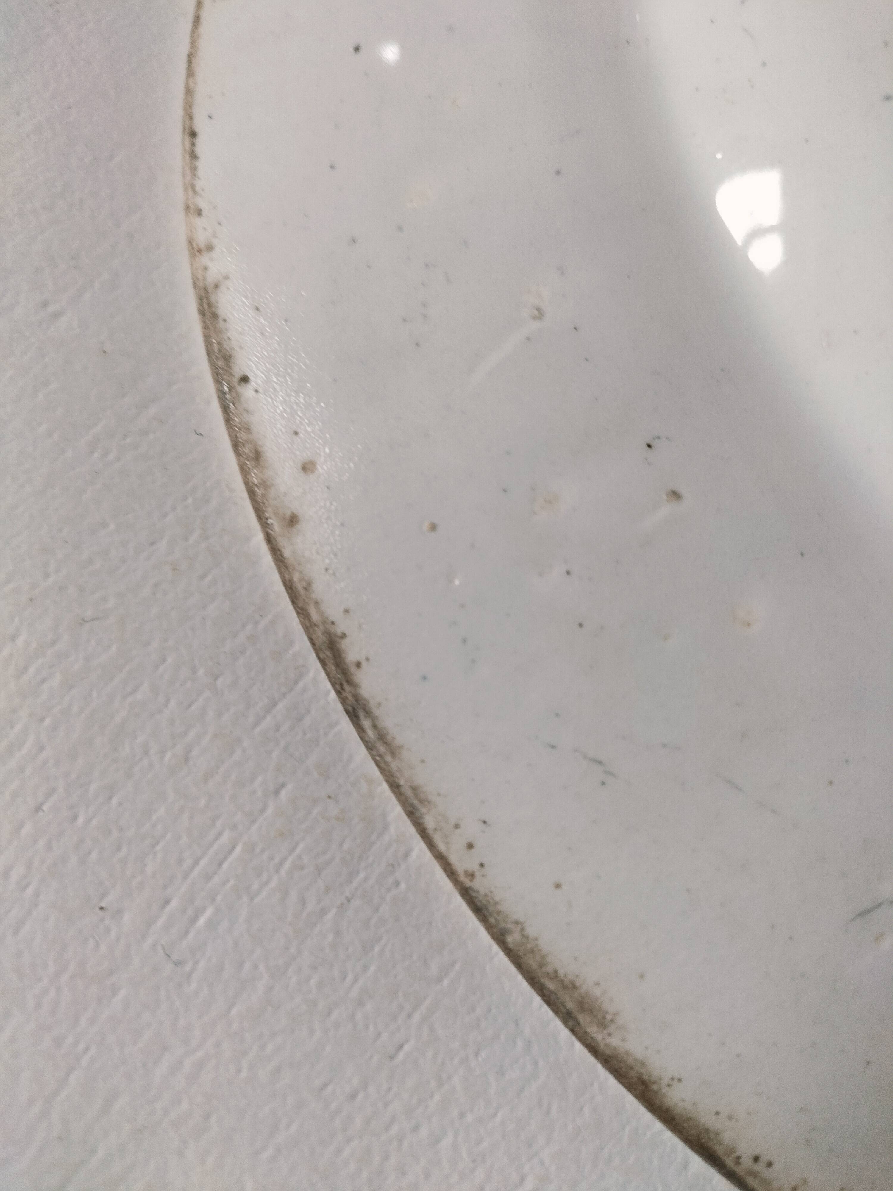 Plate by A. Lebacqz & M. Bouchart, green floral decoration, Richelieu model