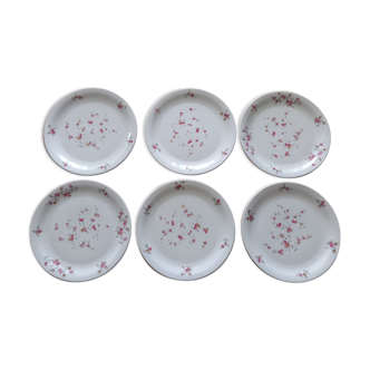 Set of 6 dessert plates