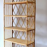 Rattan library