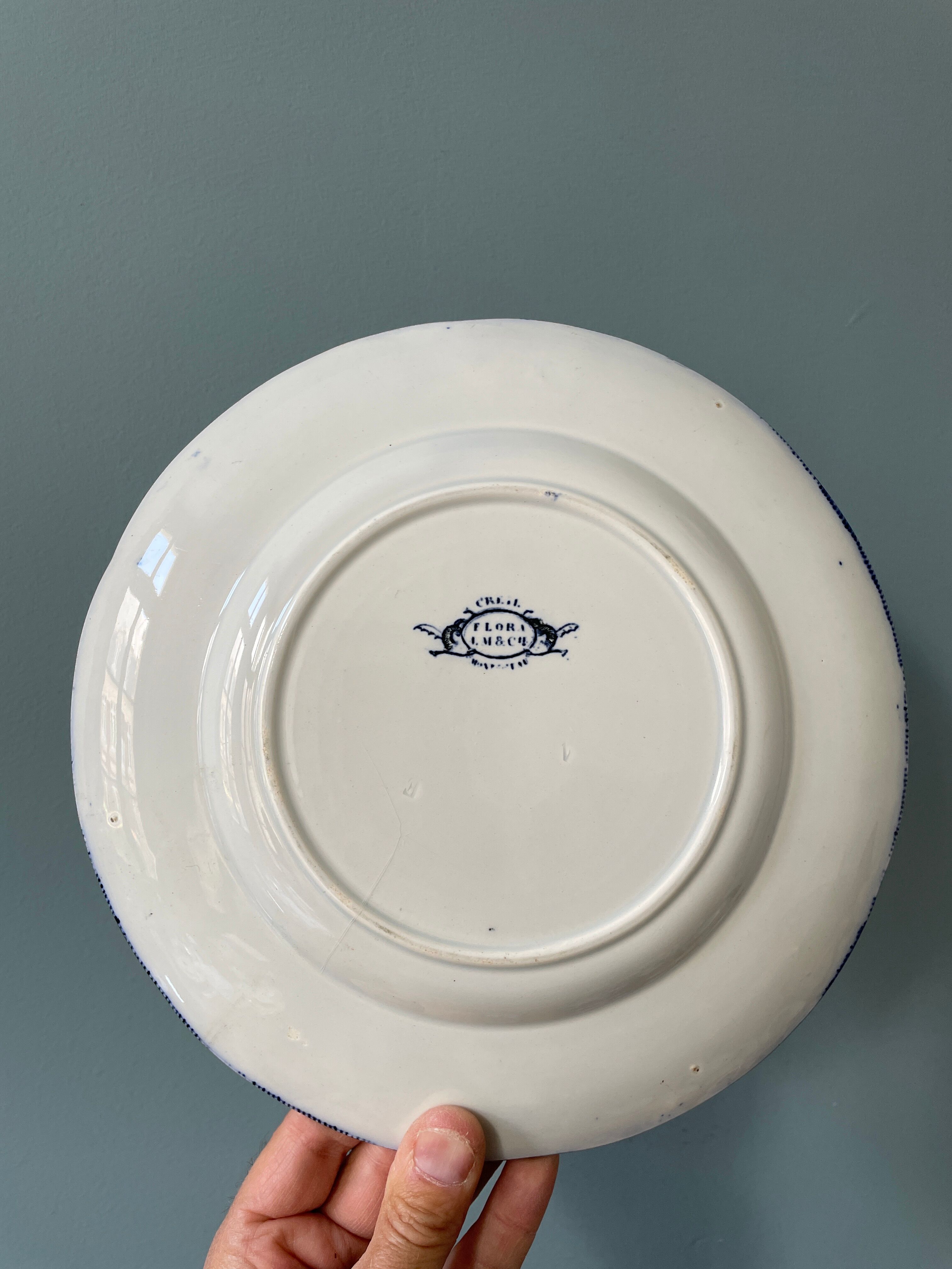Set of 4 flat plates Creil and Montereau, Flora model