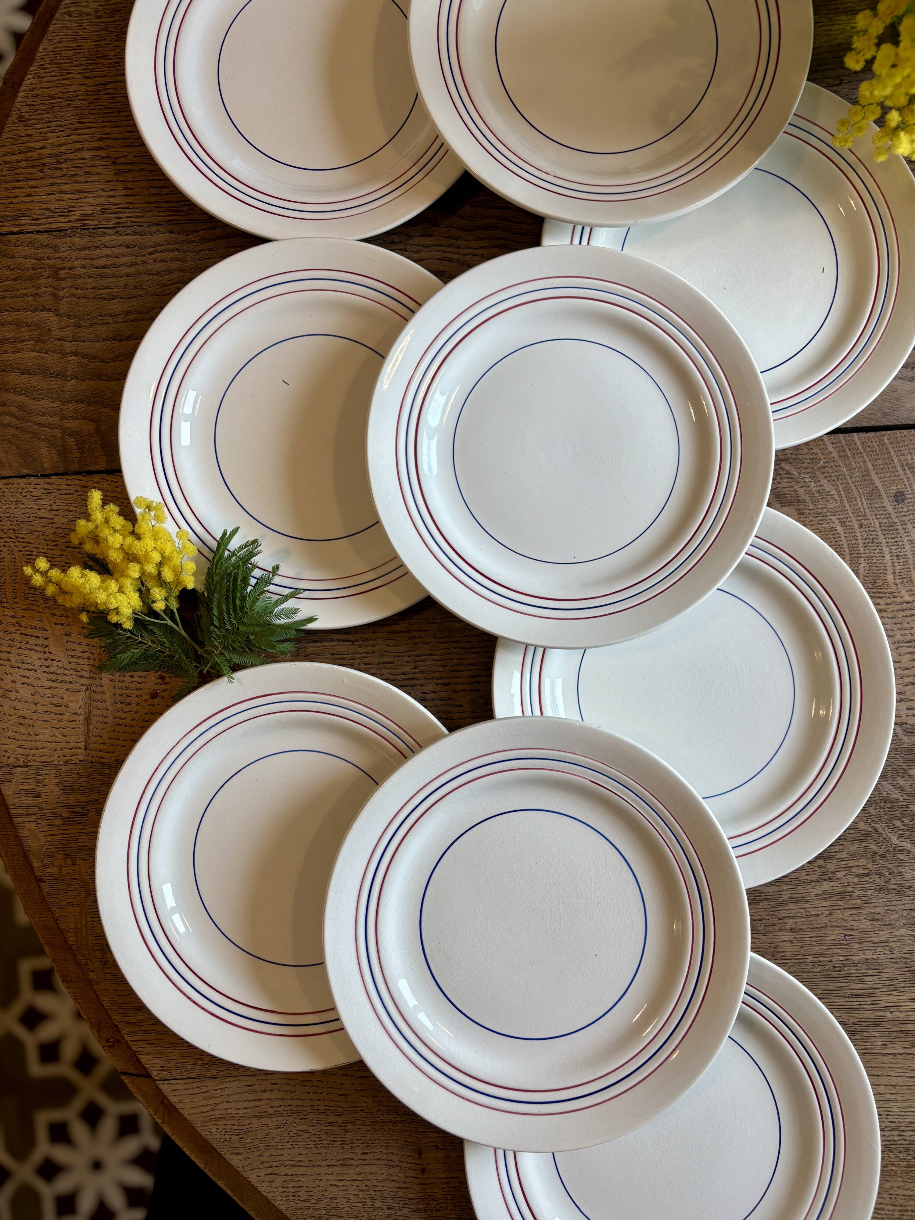 Set of 10 vintage flat plates in semi-porcelain Céranord.