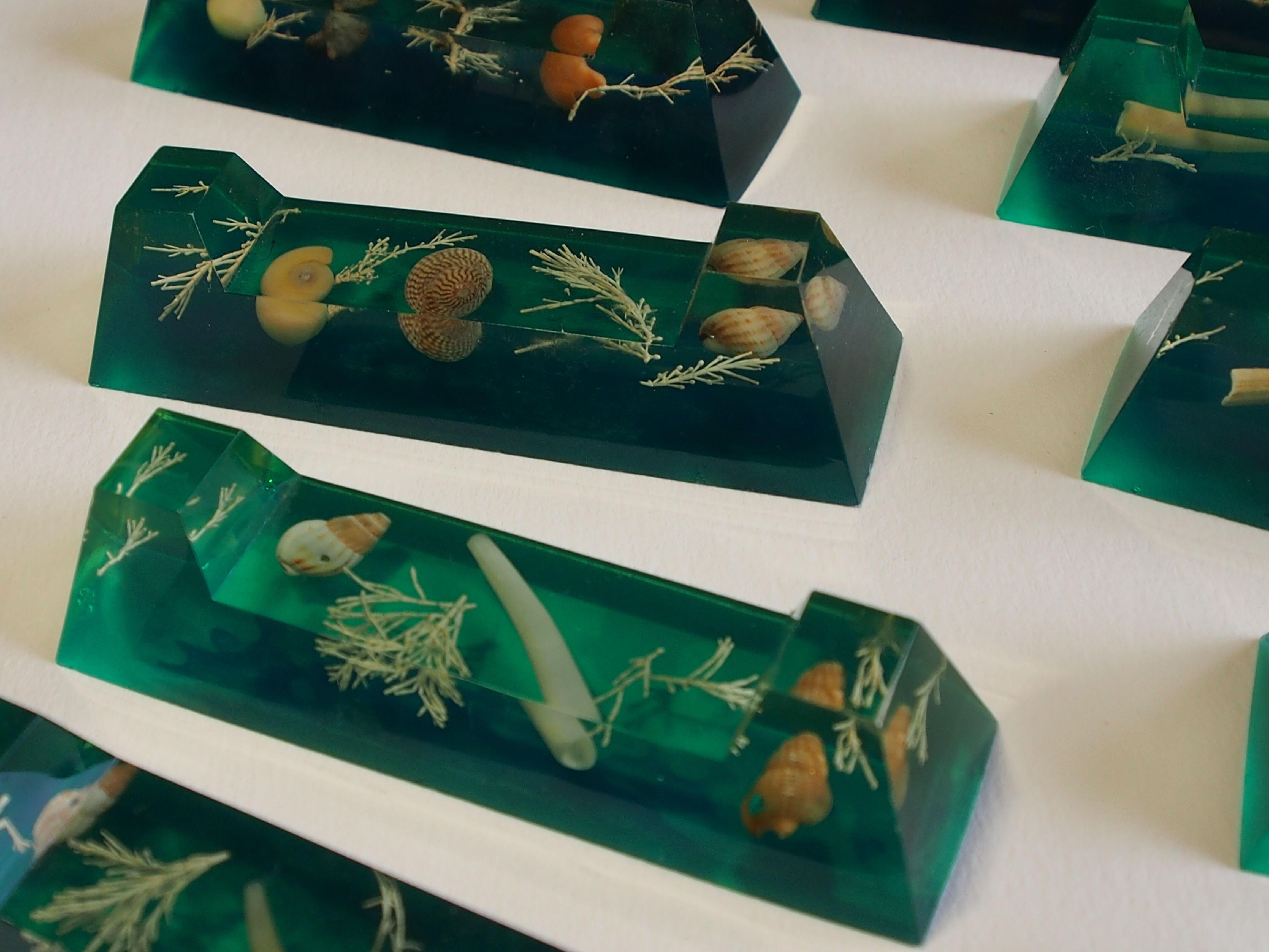 Knife holder in resin and inclusion of shells