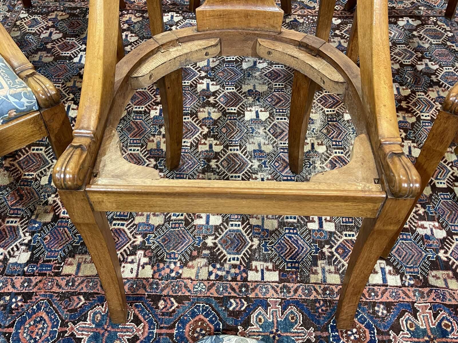 Set of 6 gondola chairs in blond mahogany - 20th century