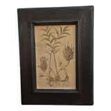Framed Botanical Board Table
