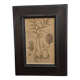 Framed Botanical Board Table