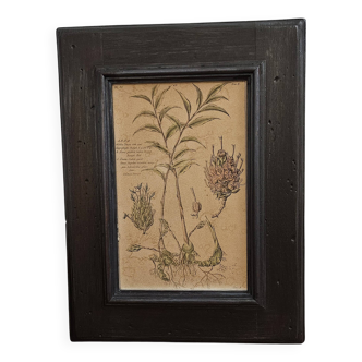 Framed Botanical Board Table