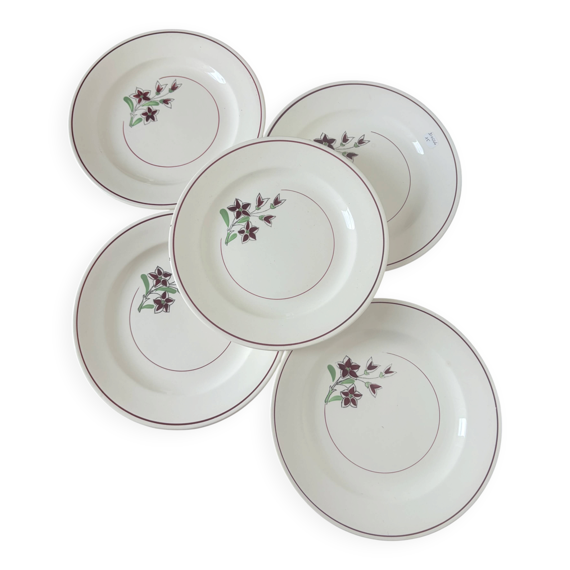 5 assiettes plates de Salins 210646