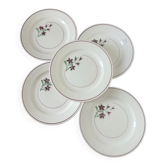 5 assiettes plates de Salins 210646