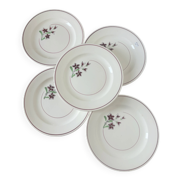 5 flat plates from Salins 210646