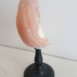 Shell on base