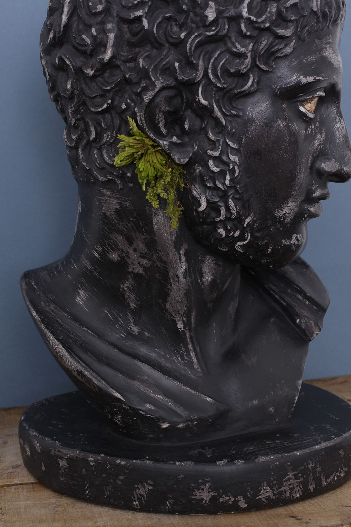 Greek head in waxed black plaster