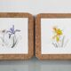 Pair of vintage botanical trivets in ceramic and cork – Yes