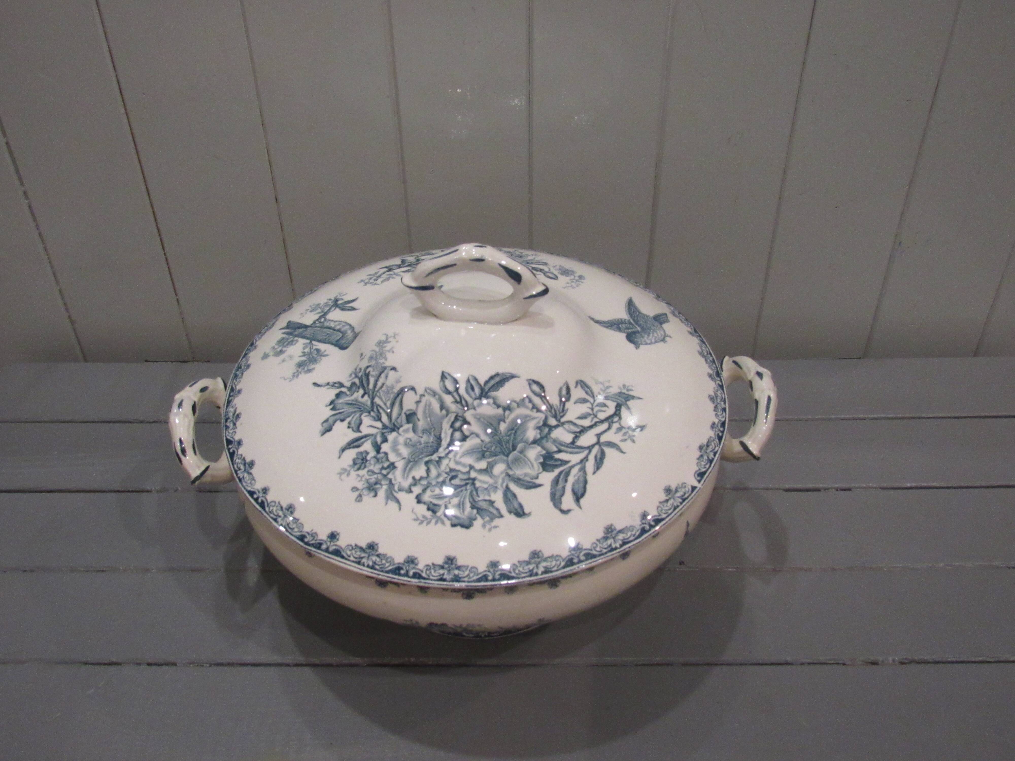 Tierra del Fuego Bengali model