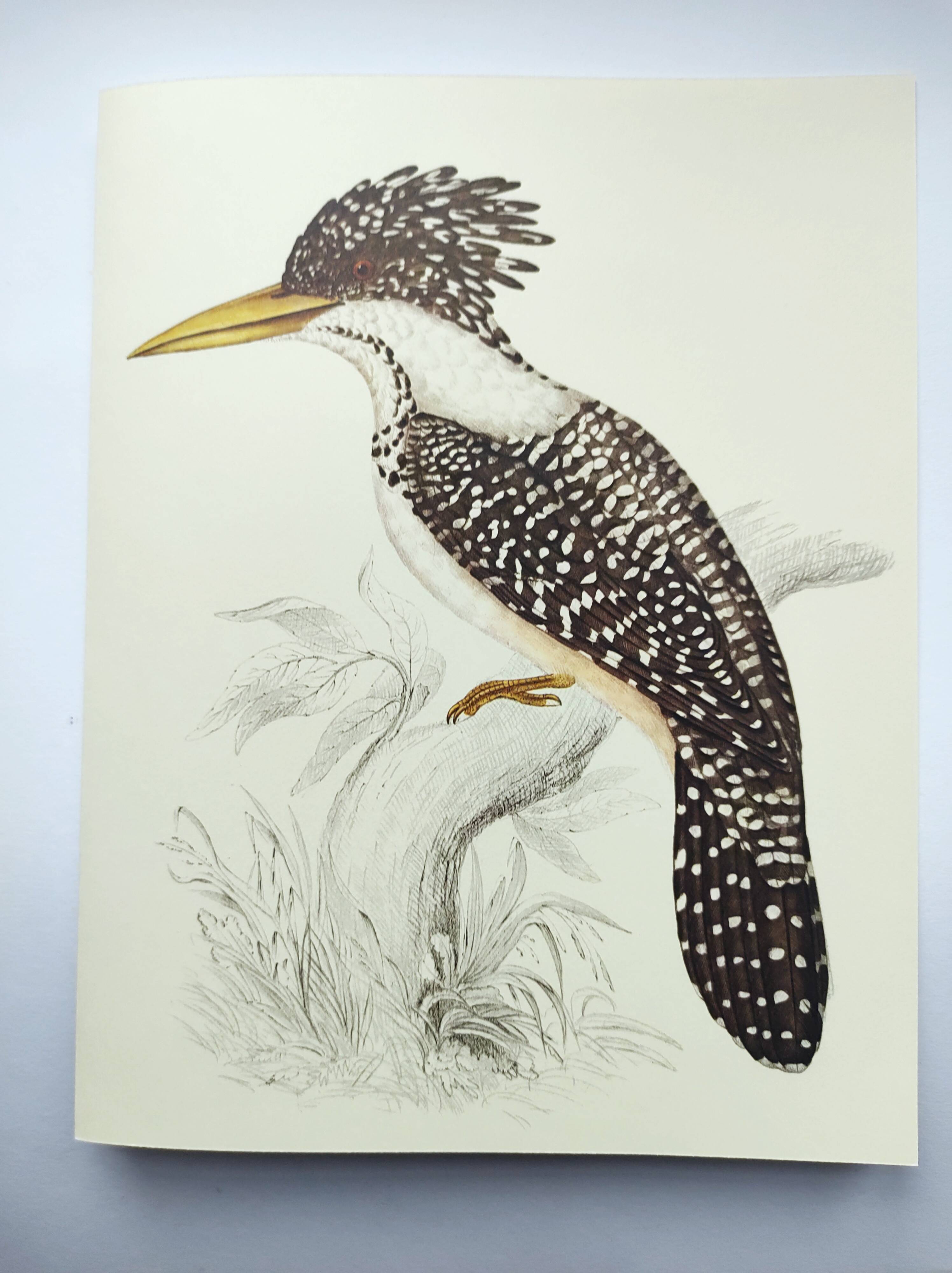 Antique plate - Kingfisher - bird and nature, Vintage 1970