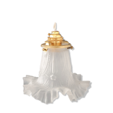 Walkman / suspension tulip in glass early twentieth century
